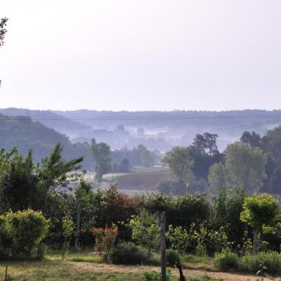 les brumes du matin