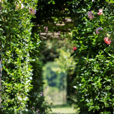 Pergola